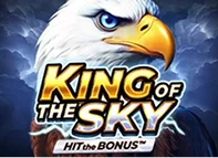 King of the Sky: Hit the Bonus